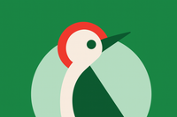 TapTap Send • Global